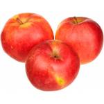 Яблуко Афродіта ваг 1c