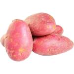 Картопля рожева мита (ваг)