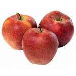 Яблуко Глостер (ваг)